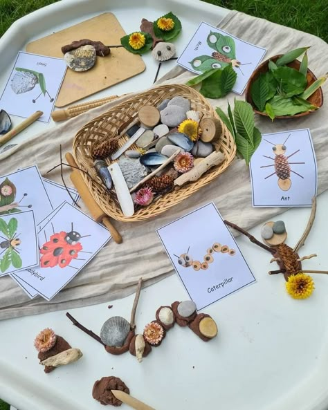 Nature Based Classroom, Outdoor School Activities, Insects Preschool, Bugs Preschool, Insect Activities, Preschool Crafts Fall, Nature Education, Montessori Art, Toddler Homeschool