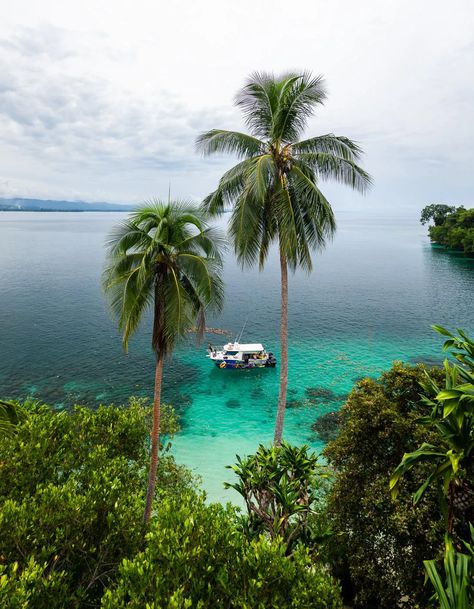 30 EPIC PHOTOS FROM MADANG, PAPUA NEW GUINEA - Journey Era Madang Province, Guinea Country, Papa New Guinea, Drone Shots, Raja Ampat, Oceania Travel, Where To Next, Epic Photos, Pacific Islands