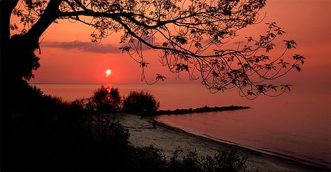 Red Aesthetic Landscape, Red Landscape Aesthetic, Red Landscape Wallpaper, Red Night Sky Aesthetic, Red Skies Aesthetic, Dark Red Sunset, Sky At Night, Sunset Background, Red Sunset