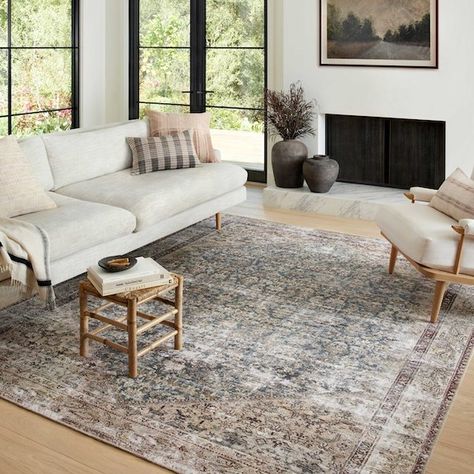 Amber Lewis X Loloi, Grey Sofa Living Room, Wayfair Living Room, Amber Lewis, Grey Sofa, Apartment Decoration, Virtual Design, Antique Inspiration, Sofa Living Room