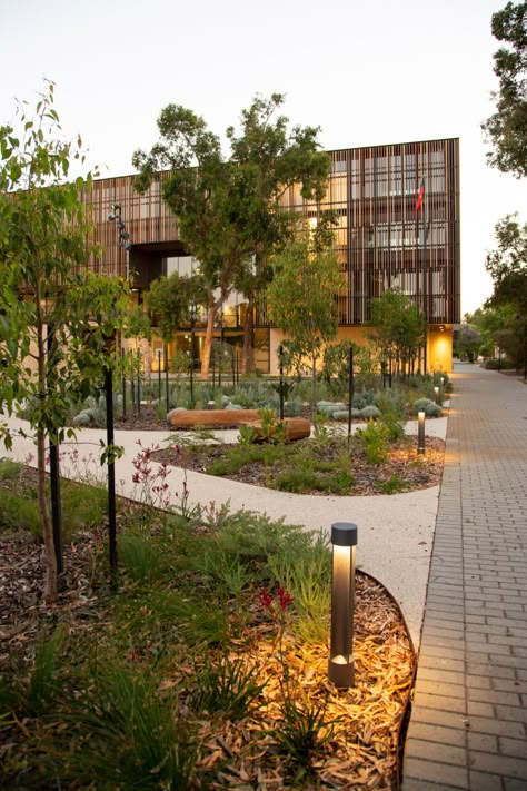 Bilya Marlee - a healing environment in Perth — LANDSCAPE ARCHITECTURE AOTEAROA University Of Western Australia, Campus Landscape, Healing Environment, Indigenous Studies, Urban Landscape Design, Healing Garden, Commercial Landscaping, Areas Verdes, Landscape And Urbanism