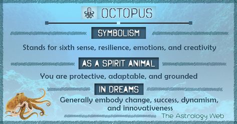 Octopus Spirit Animal Meaning, Octopus Spirit Animal, Octopus Symbolism, Octopus Meaning, Animal Totem Spirit Guides, Spirit Animal Meaning, Totem Animals, Animal Meanings, Spirit Animal Totem