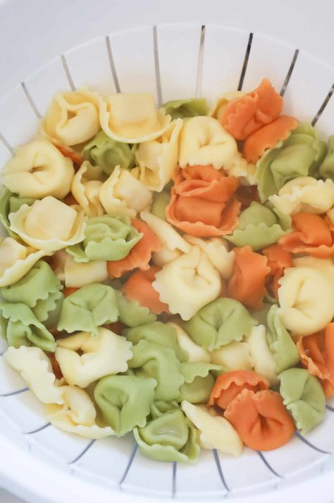 cooked rainbow tortellini pasta in a colander Tri Color Tortellini Recipes Dinners, Rainbow Tortellini Recipes, Chicken Tortellini Alfredo, Alfredo Bake Recipe, Spicy Chicken Chipotle Pasta, Hearty Pasta Recipes, Cheese Tortellini Recipes, Chipotle Pasta, Tortellini Alfredo