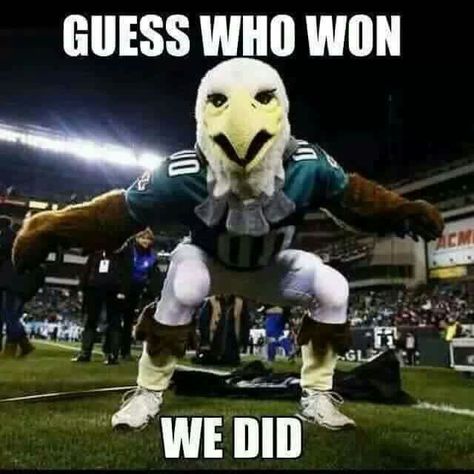 YEAH!!! Sept. 24 Rookie kicker kicks a 61yd field goal to win!!! Dallas Vs Eagles, Philadelphia Eagles Funny, Eagles Memes, Dolphin Memes, Philadelphia Eagles Wallpaper, Philadelphia Eagles Cheerleaders, Eagles Football Team, Eagles Win, Eagles Cheerleaders