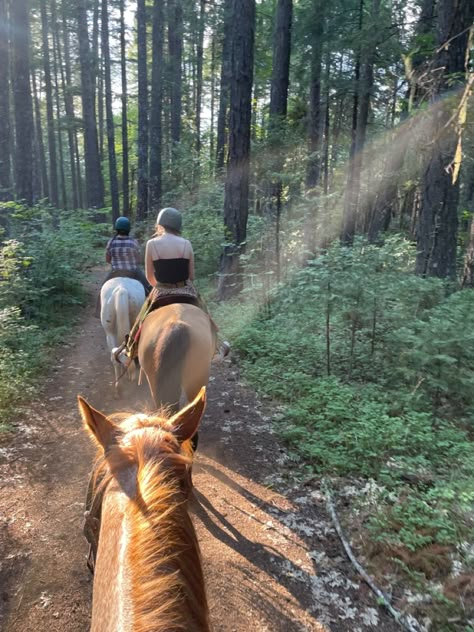 Horse Riding Mountains, Horseback Riding With Friends, Horse Riding In The Woods, Camping With Horses Trail Riding, Horse Trail Ride Aesthetic, Trail Ride Aesthetic, Trail Riding Aesthetic, Summer Horse Riding, Horse Trail Ride