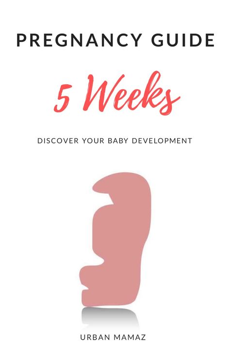 pregnancy guide 5 weeks One Month Pregnant Belly, 5 Weeks Pregnant Ultrasound, Week 5 Pregnancy, Pregnancy Trimesters, Pregnancy Development, Body Changes During Pregnancy, Week By Week Pregnancy, 5 Weeks Pregnant, Tips For Pregnant Women