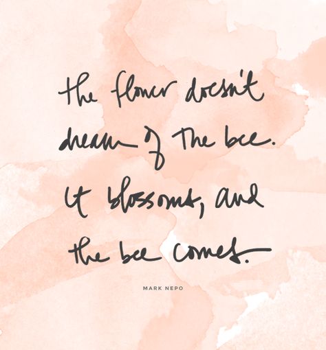 the flower doesn't dream of the bee Bee Quotes, Spring Quotes, Garden Quotes, Life Inspiration, Powerful Words, Note To Self, Beautiful Words, Great Quotes, Inspire Me