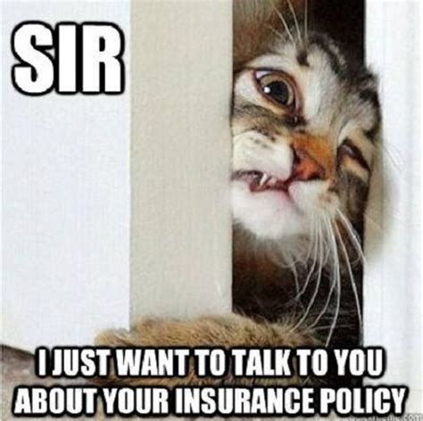 Insurance Meme, Insurance Humor, Life Insurance Marketing, Insurance Marketing, Life Insurance Quotes, Insurance Agency, Pet Insurance, Insurance Agent, Funny Cat Memes