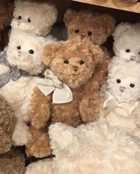 JONGHO Teddy Bears For Sale, Giant Teddy Bear, Giant Teddy, Marauders Era, Cute Teddy Bears, Cute Stuffed Animals, Brown Aesthetic, Look At You, Teddy Bears