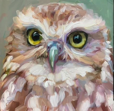 Animals Oil Painting, Cute Animal Paintings Acrylic, Owl Oil Painting, Holly Storlie, Owl Painting Acrylic, Acrylic Animals, Bird Art Painting, Animal Canvas Paintings, Animal Oil Painting