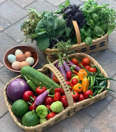 Vegetable Garden Basket, Garden Box Aesthetic, Produce Garden Aesthetic, Vege Garden Aesthetic, Vegetable Harvest Basket, Garden Harvest Storage, Vegetable Garden Astethic, Summer Harvest Aesthetic, Harvest Basket Diy