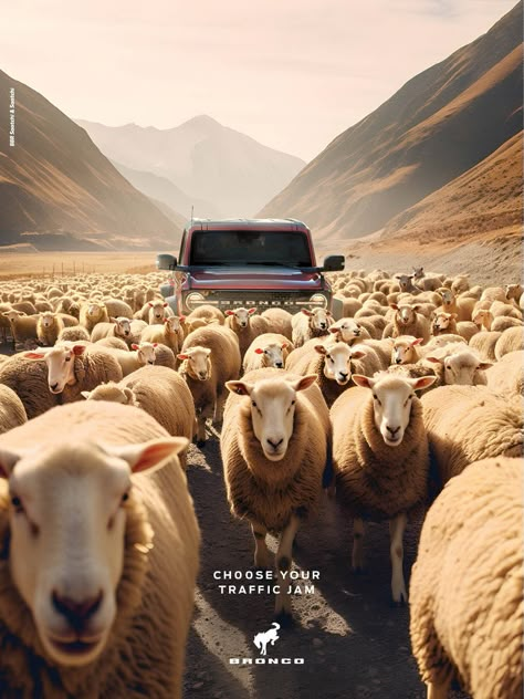 Ford: CHOOSE YOUR TRAFFIC JAM • Ads of the World™ | Part of The Clio Network Car Print Ads, Copywriting Ads, Car Advertising Design, Social Advertising, Ad Car, Ad Of The World, Digital Marketing Design, Creative Advertising Design, Publicidad Creativa