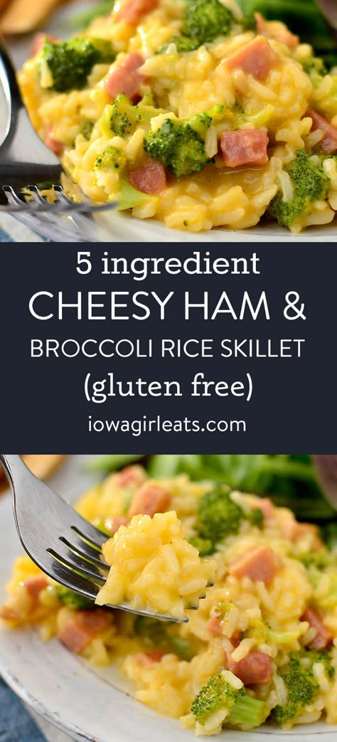 Broccoli Ham Cheese Casserole, Gf Casserole, Ham Steak Dinner, Ham And Rice Casserole, Recipes Using Ham, Healthy Ham, Ham Dinner Recipes, Ham And Broccoli, Ham Steak Recipes