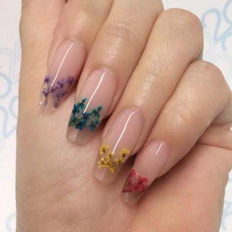 ✧pin//@jaimariahoward Colorful Nail, Nail Art Gel, Flower Nail Art, Acrylic Nail Art, Gel Nail Art, Gel Manicure, Square Nails, Flower Nails, Gorgeous Nails