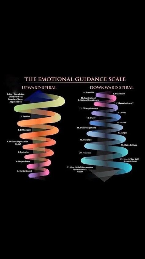 the.alchemist on Instagram: ✨🖤✨ Emotional Guidance Scale, Space Song, Colorful Plant, Raise Vibration, Spiritual Knowledge, Attraction Quotes, Colorful Plants, The Notebook, Law Of Attraction Quotes