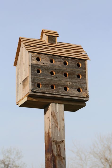 Martin House Birdhouses, Birdhouse Painting Ideas Easy, Martin House Plans, Purple Martin Bird, Purple Martin House Plans, Purple Martin Birdhouse, Martin Bird House, Martin Bird, Cool Bird Houses