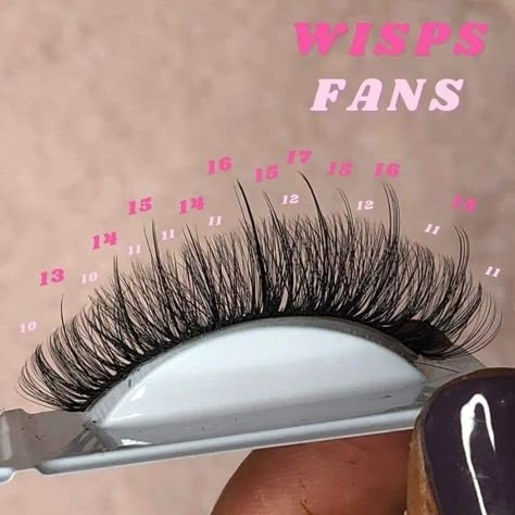 Eyelash Decor, Eyelashes Tutorial, Eyelash Studio, Lash Maps, Lash Map, Eyelash Salon, Lash Mapping, Lashes Tutorial, Lashes Fake Eyelashes