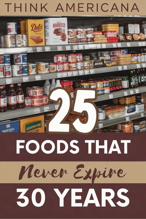 Survival Kit - 25 Food Items That Never Expire - Think Americana - Trending Daily News Prepping Survival Emergency Preparedness, Diy Emergency Kit, Camping Pantry, Best Emergency Food, Survival Kit Ideas, Survival Food Kits, Emergency Go Bag, Emergency Preparedness Items, Survival Prepping Diy