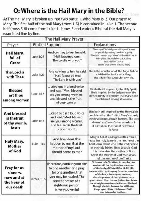 Wonderful explanation of the HAIL MARY Mary In The Bible, Catholic Devotions, Hail Mary Prayer, Catholic Theology, Catholic Memes, Catholic Beliefs, Catholic Education, The Immaculate Conception, Catholic Bible