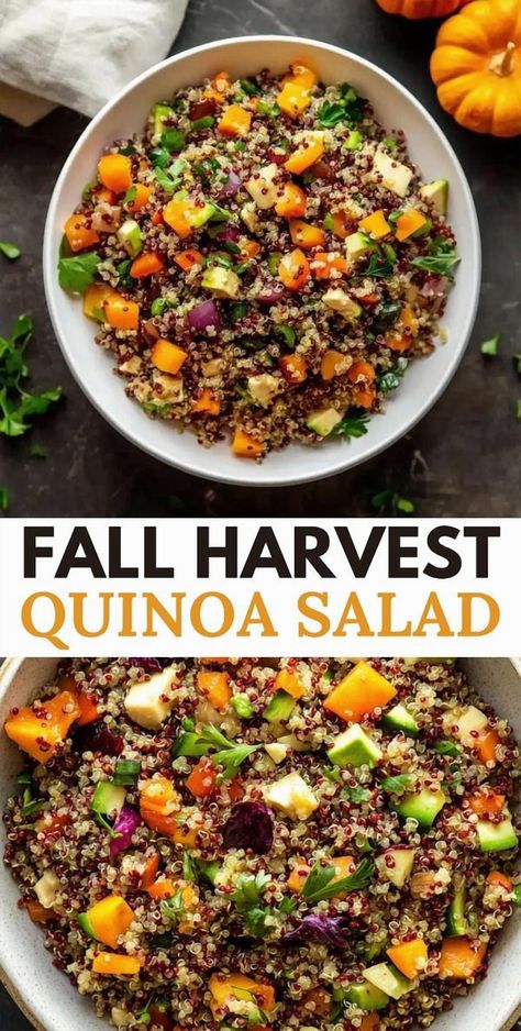 Embrace the essence of autumn with this delightful Fall Harvest Quinoa Salad. Experience the nutty goodness of quinoa mingling with roasted butternut squash and Brussels sprouts, complemented by the crispness of apples and the satisfying crunch of pumpkin seeds. A maple-cinnamon dressing weaves these flavors into a sweet and savory symphony, perfect for any autumn gathering. Autumn Quinoa Bowl, Butternut Squash Orzo Salad With Candied Bacon, Autumn Kale Apple And Quinoa Salad, Roasted Fall Harvest Salad, Thanksgiving Quinoa Recipes, Butternut Squash And Brussel Sprouts Salad, Brussels Sprout Quinoa Salad, Brussels Sprouts Quinoa, Autumn Butternut Squash Salad