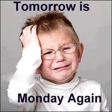 Tomorrow is Monday again! James is always asking if its Friday yet. Starts Monday afternoon, and all week long. "Is it the weekend yet?" Dominicans Be Like, Tomorrow Is Monday, Monday Again, Friday Quotes Funny, Funny P, Hate Mondays, Happy Sunday Quotes, Monday Quotes, Sunday Quotes