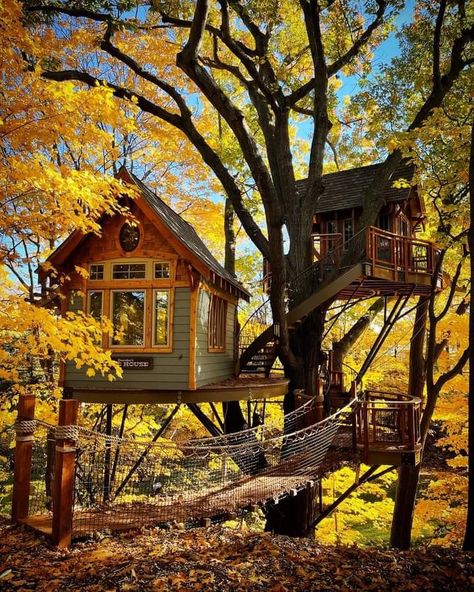 Liveable Tree Houses, Diy Tree House For Adults, Treehouse Between Two Trees, Luxury Tree House Interior, Tree House Designs Inside, Huge Tree House, Treehouse Exterior, Tree House Living, Mini Tree House