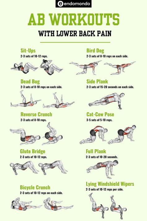 Exercises For Strengthening Lower Back, Abs Back Workout, How To Strengthen Back And Core, Core Exercises For Lower Back Pain, Ab Workout Sitting In A Chair, Lower Back Strength Exercises, Abdominal Exercises For Bad Back, Core Workout For Lower Back Pain, Core And Lower Back Workout