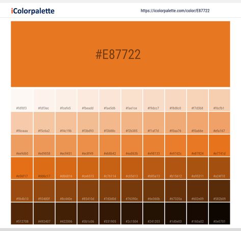 Color space information Pantone 158 C Color | Hex color Code #E87722. Similar Pantone Color name Information, Color Schemes, Light / Darkshades, Tones, Similar Colors , Preview the color and download Photoshop swatch and solid color background image Pantone Color Book, Space Information, Color Palette From Image, Yellow Color Palette, Hexadecimal Color, Pantone Colour Palettes, Orange Color Palettes, Hex Color Palette, Hex Color