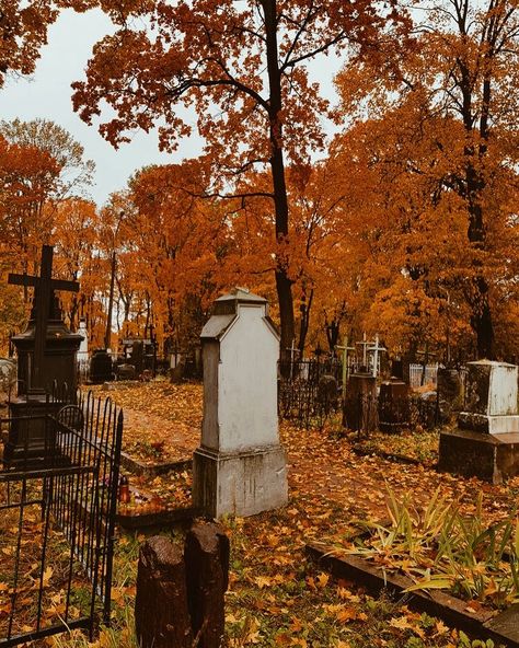 Halloween and Autumn 👻🍂 on Instagram: “A cemetery in Autumn! What is your favorite movie to watch on #halloween? I like to watch any horror movie and #HocusPocus! 👻🎃🍂 📷:…” Autumn Graveyard, Moody Autumn, Old Cemetery, October Country, Old Cemeteries, Movie To Watch, Aesthetic Autumn, Spooky Szn, Halloween Vibes