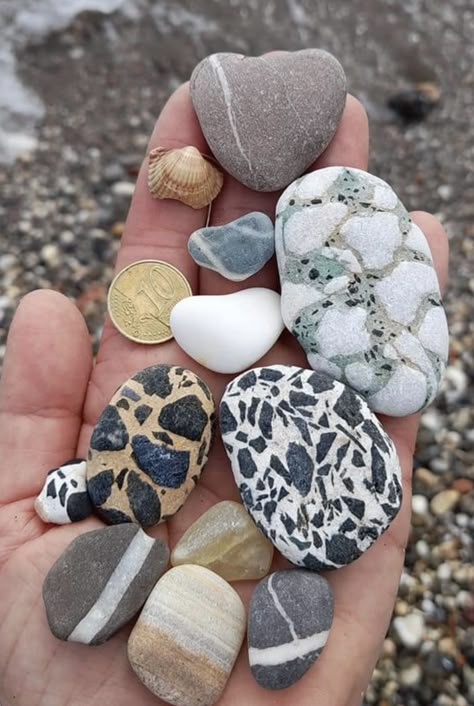 Beach stones. Collection of Lory Adry. Shells Aesthetic, Beach Stone Art, Rock Stacking, Tumbled Rocks, Polished Rocks, Rock Collecting, Sea Stones, Rocks And Fossils, Rock Hunting