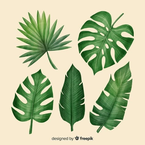 Realistic tropical leaf collection Vector | Free Download Tropical Leaves Illustration, Greenery Background, Dark Leaves, Leaves Doodle, Tropical Flowers Pattern, Green Leaf Background, Leaf Collection, Tropical Background, Tropical Leaves Pattern