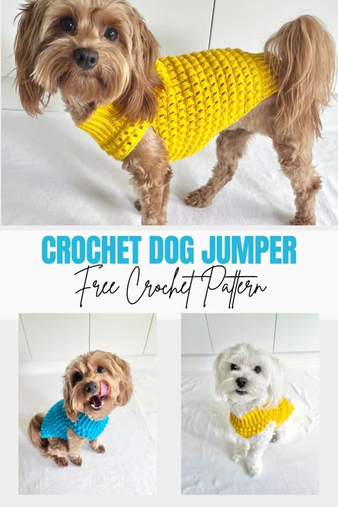 Dog Jersey Crochet Pattern, Crochet Dog Jersey Free Pattern, Crochet Dog Vest Free Pattern, Dog Dress Crochet Pattern Free, Small Dog Crochet Patterns, Crochet Dog Sweater Free Pattern Medium, Jumper Crochet Pattern Free, Easy Crochet Dog Sweater Free Pattern, Bog Coats