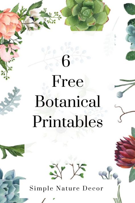 Framed Botanical Prints Wall Decor, Plant Pictures Wall Decor, Free Printable Wildflowers, Free Printable Botanical Wall Art, Botanical Decor Ideas, Free Black And White Printables, Free Download Printables Wall Art, Free Plant Printables, Free Botanical Printables