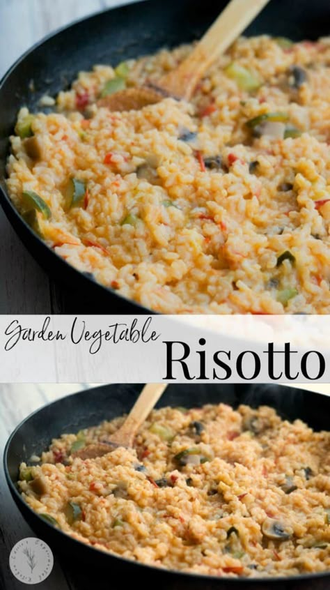 Mushroom Tomato Recipe, Vegetable Risotto Recipes, Veggie Risotto, Italian Side Dish, Vegetarian Risotto, Zucchini Mushrooms, Easy Risotto, Risotto Recipes Easy, Italian Side Dishes