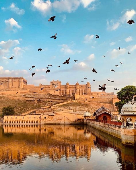 Postcards on the way🌅 . . . . #jaisalmerdiaries #jaisalmerfort #clothingbrands #printsforsale Amer Fort Jaipur, City Palace Jaipur, Jaipur Travel, Amber Fort, Amer Fort, India Travel Places, India Architecture, Holiday Travel Destinations, Pink City