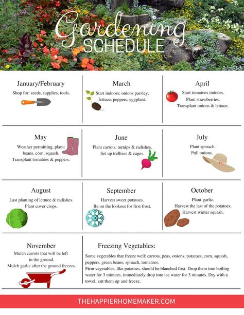 Free printable Garden Schedule to help you plan your gardening tasks throughout the year. #gardening Plan Your Garden Layout, Family Vegetable Garden, Zone 7 Garden Plan, Small Garden Ideas Low Maintenance Backyard Designs, First Garden Ideas, Covered Patio Garden Ideas, First Time Vegetable Garden, Chicago Garden Ideas, First Time Garden Tips