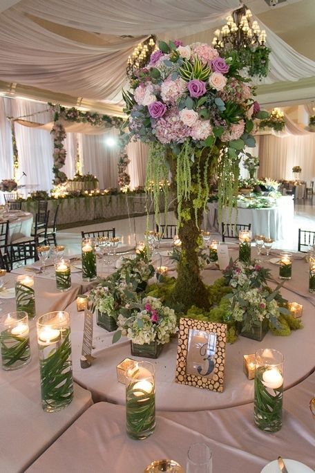 Log Moss and Woods for Wedding Centerpiece | 1000+ ideas about Secret Garden Theme on Pinterest | Garden Theme ... Enchanted Forest Quince, Lemon Centerpiece, Forest Quinceanera Theme, Forest Quince, Enchanted Forest Quinceanera Theme, Green Quinceanera Theme, Enchanted Forest Quinceanera, Enchanted Forest Prom, Enchanted Forest Decorations