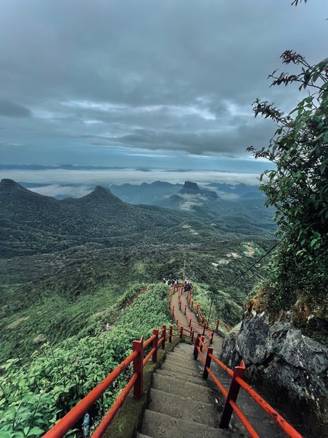 Sri Padaya, Adam's Peak Sri Lanka, Adam's Peak, Sri Lanka Beach, Sri Lanka Travel, Travel List, Nature Pictures, Where To Go, Sri Lanka