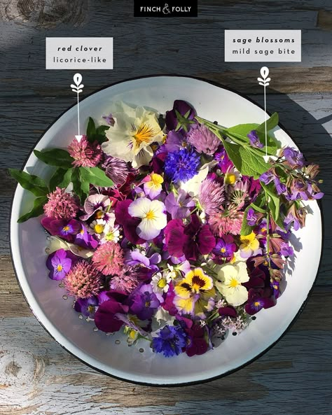 Finch + Folly — Edible Flowers: What they Taste Like & How to Use Edible Flowers Salad, Fairy Dinner Party, Tea Party Decorations Diy, Dried Edible Flowers, Eatable Flowers, Spring Dinner Party, Flower Recipe, Flowers Recipes, Chive Blossom