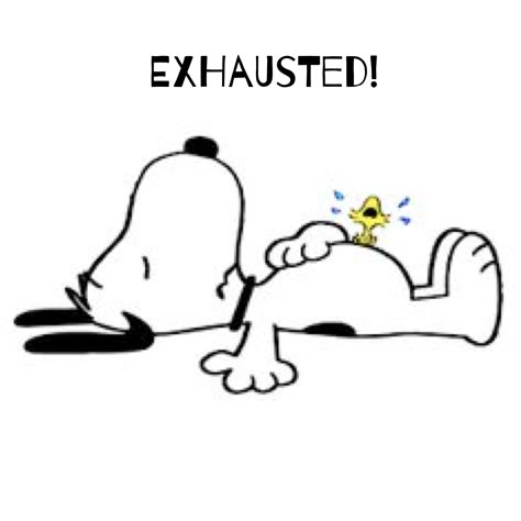 Snoopy Exhausted, Tired Snoopy, Goodnight Snoopy, Charlie Brown Quotes, Snoopy Dance, Woodstock Snoopy, Snoopy Comics, Snoopy Cartoon, Snoopy Funny