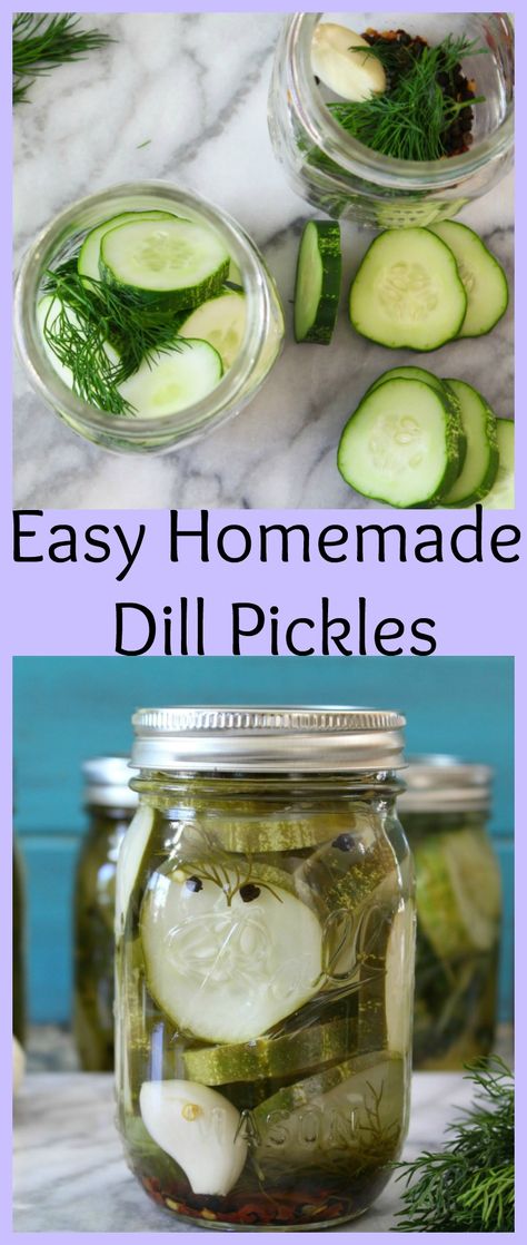 Homemade Dill Pickles Pickles Cucumbers, Homemade Dill Pickles, Homemade Refrigerator Pickles, Refrigerator Pickles Dill, Refrigerator Pickle Recipes, Homemade Pickles Dill, Dill Pickle Recipe, How To Make Pickles, Best Pickles