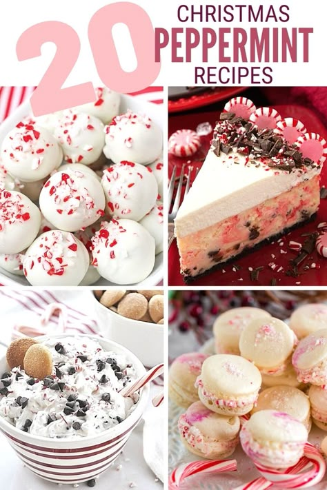 Peppermint is the cool minty flavor of winter! 20 delicious Christmas Peppermint Recipes that will get you in the holiday mood.#thecraftyblogstalker#peppermintrecipes#christmasrecipes#dessertrecipes Christmas Peppermint Recipes, Peppermint Desserts Christmas, Peppermint Recipes Desserts, Peppermint Desserts, Peppermint Dessert, Peppermint Treats, Peppermint Recipes, Matcha Cheesecake, Peppermint Cake