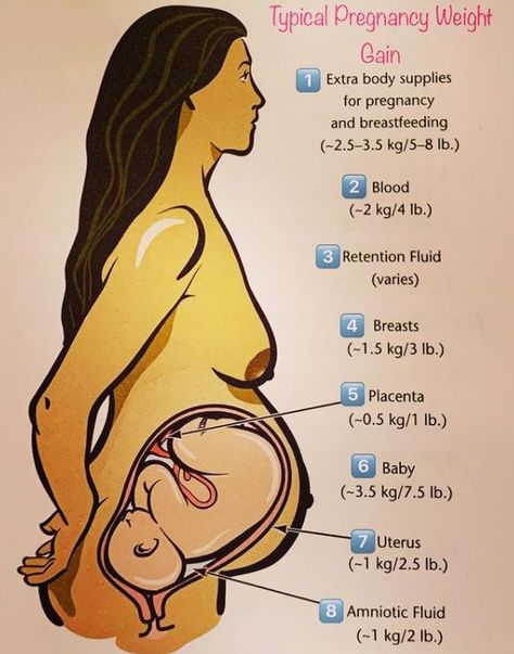 Pregnant Anatomy, Pregnancy Anatomy, Weight Gain During Pregnancy, Obstetrics Nursing, Spinning Babies, Pregnancy Facts, Birth Videos, Weight Gain Supplements, Pregnancy Weight Gain