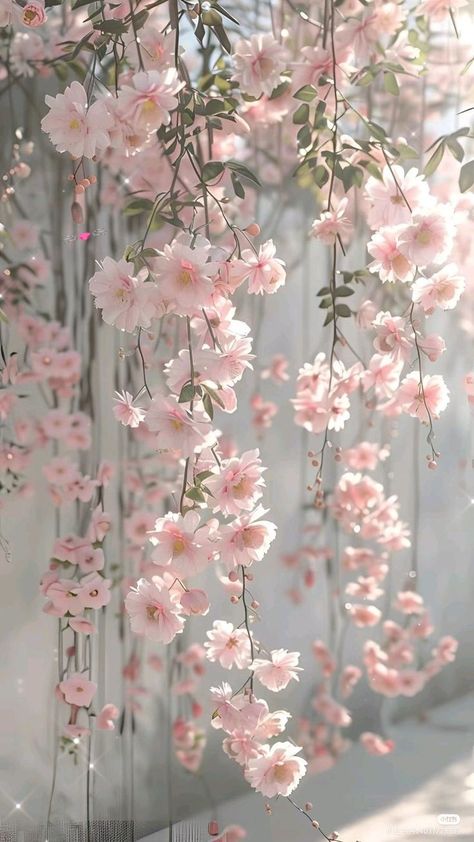 헬로키티 배경화면, Floral Wallpaper Iphone, Wallpaper Flower, Flowers Photography Wallpaper, Pretty Phone Wallpaper, Floral Wallpaper Phone, Simple Phone Wallpapers, Lovely Flowers Wallpaper, Flower Iphone Wallpaper