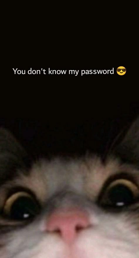 Haha You Dont Know My Password Wallpaper For Ipad, I See You Trying To Get Into My Phone, Why Are You Looking At My Phone, You Dont Know My Password Wallpapers, Backgrounds For Girls, Cool And Funny Wallpapers, Don't Touch My Phone Wallpapers, Don't Touch My Phone Wallpapers Cute, Funny Screen Savers