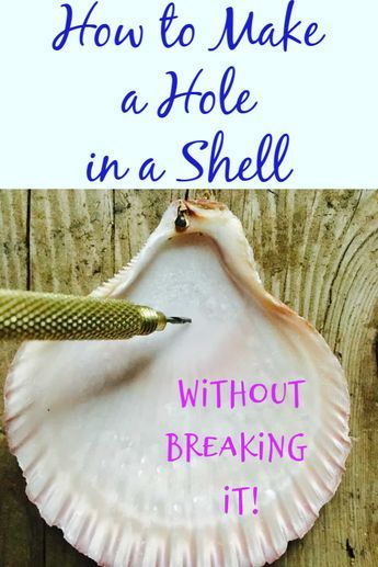 Large Shell Art Projects, Diy Sea Shells Ideas, Making Sea Shell Jewelry, Seashell Windchime Diy How To Make, How To Make Seashell Ornaments, Sand Dollar Ideas Diy, Project With Sea Shells, What To Do With Seashells From The Beach, Sea Shell Crafts Diy Wall Hangings