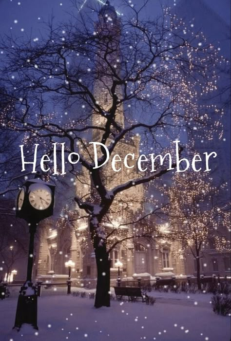 Beautiful Winter Pictures, Snow Falling, Christmas Scenery, Hello December, Winter Scenery, Winter Beauty, Winter Pictures, Christmas Scenes, Let It Snow