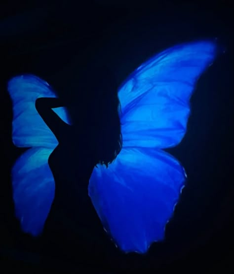 Blue Butterfly, Butterfly Wings, A Butterfly, Blue Aesthetic, In The Dark, Butterflies, See More, Dark Blue, A Woman