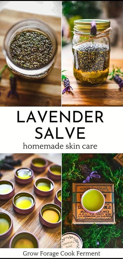 Herb Closet, Lavender Salve, Herbal Salve Recipes, Apothecary Garden, Medicinal Flowers, Herbs Medicine, Herbal Medicine Recipes, Healing Salve, Ayurveda Life