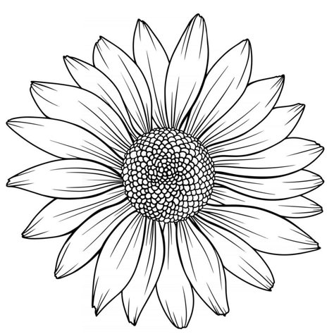 Daisy Flower Outline, Daisy Line Art, Daisy Drawing, Flower Tattoo Drawings, Sunflower Drawing, Flower Line Drawings, Flower Drawing Design, Flower Outline, Flower Art Drawing